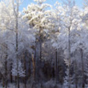 Meet your Posher, Deb